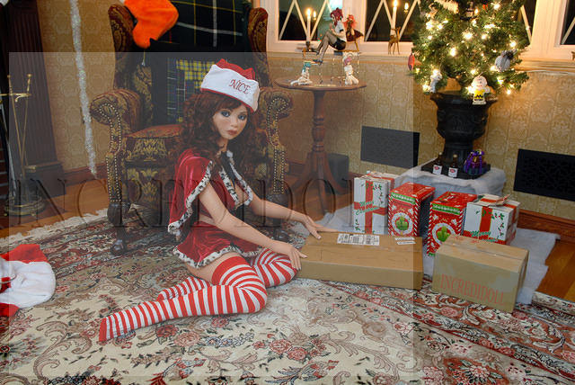 Christmas 2012 (64b)