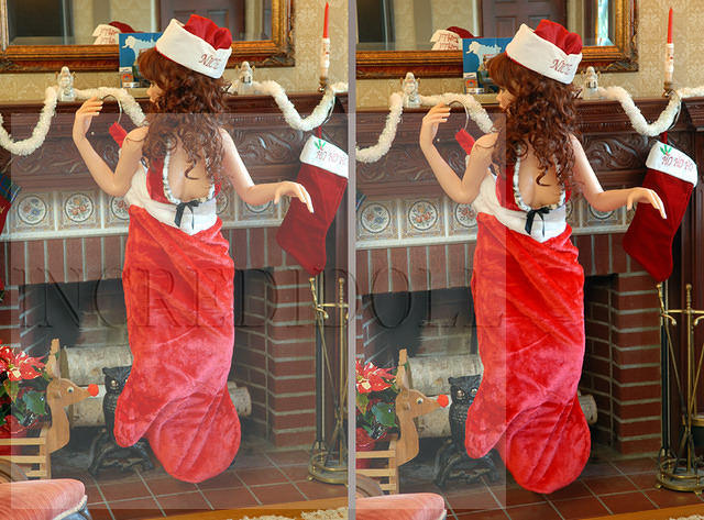 Christmas 2012 Stereo (2)