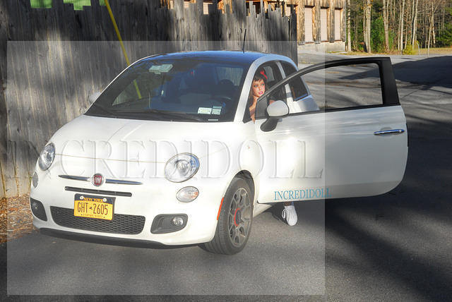 Dollstock 2013 (174b)