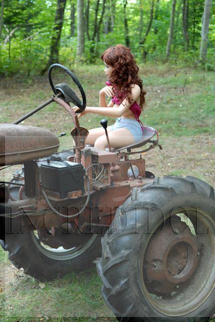 Tractor (31b)