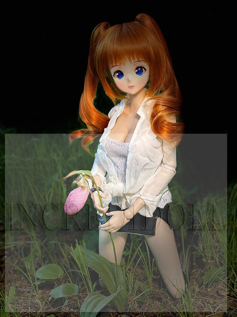 Lady Slipper (016b)