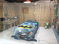 IMG 0906b