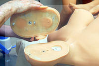 DolLApolooza 2015 (43b)