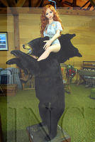 Dollstock 2014 (150b)